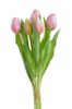 Svazek tulipánů 5 ks - světlá růžová