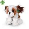 Plyšový pes shih tzu 30 cm sedící