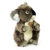 Plyšová koala 22 cm