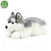 Plyšový pes husky ležící 30 cm