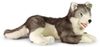 Plyšový husky 60 cm ležící (eco-friendly)