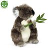 Plyšová koala 30 cm