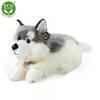 Plyšový pes husky ležící 30 cm