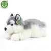 Plyšový pes husky ležící 30 cm