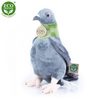 Plyšový holub 25 cm