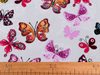 Bavlněná látka / plátno motýl  METRÁŽ