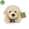 Plyšový pes labrador 20 cm