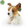 Plyšový pes jack russell teriér sedící 30 cm