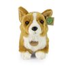 Plyšový pes corgi 32 cm