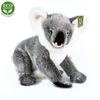 Plyšová koala stojící 25 cm