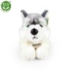 Plyšový pes husky ležící 30 cm