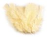 Krůtí peří délka 11-17 cm