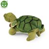 Plyšová želva Agáta zelená 25 cm ECO-FRIENDLY