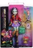 MATTEL MONSTER HIGH Panenka Monsterka Jinafire Long s doplňky