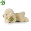 Plyšový pes labrador 20 cm