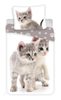 Povlečení Kitten grey 140x200, 70x90 cm