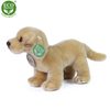 Plyšový labrador stojící 18 cm