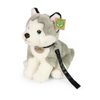 Plyšový pes husky sedící s vodítkem 28 cm