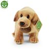 Plyšový labrador stojící 18 cm