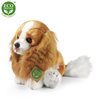 Plyšový pes kavalír King Charles španěl 28 cm