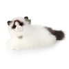 Plyšová kočka ragdoll ležící 35 cm