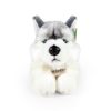 Plyšový pes husky ležící 30 cm