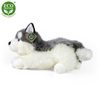Plyšový pes husky ležící 30 cm