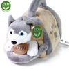 Plyšový husky 38 cm ECO-FRIENDLY