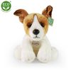 Plyšový pes jack russell teriér sedící 30 cm
