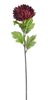 Chryzantéma 58 cm - vínová