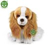Plyšový pes kavalír King Charles španěl 28 cm