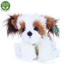 Plyšový pes shih tzu 30 cm sedící