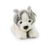 Plyšový pes husky ležící 20 cm