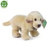 Plyšový labrador stojící 18 cm