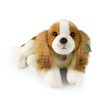 Plyšový pes kavalír king Charles španěl 40 cm