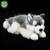 Plyšový pes husky ležící 30 cm