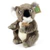 Plyšová koala 22 cm
