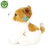 Plyšový pes jack russell teriér sedící 30 cm