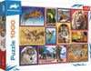 TREFL PUZZLE Animal Planet Divoká příroda 68x48cm skládačka 1000 dílků