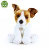 Plyšový pes jack russell teriér sedící 30 cm