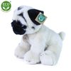 Plyšový pes mops 30 cm