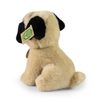 Plyšový pes mops 18 cm