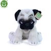 Plyšový pes mops 30 cm