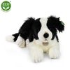 Plyšový pes BORDER KOLIE ležící 45 cm ECO-FRIENDLY