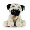 Plyšový pes mops 30 cm