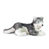 Velký plyšový pes husky ležící 60 cm ECO-FRIENDLY