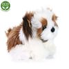 Plyšový pes shih tzu 30 cm sedící