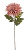 Chryzantéma 72 cm - starorůžová/fialová žíhaná