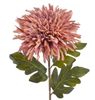 Chryzantéma 72 cm - starorůžová/fialová žíhaná