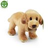 Plyšový labrador stojící 18 cm